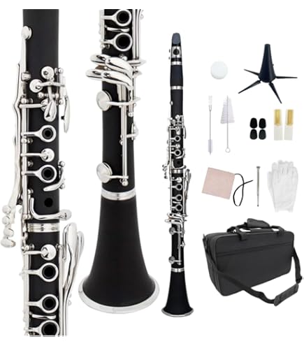 Amazon | Buffet Crampon Chadash Clarinet Barrels Bb - 66 mm